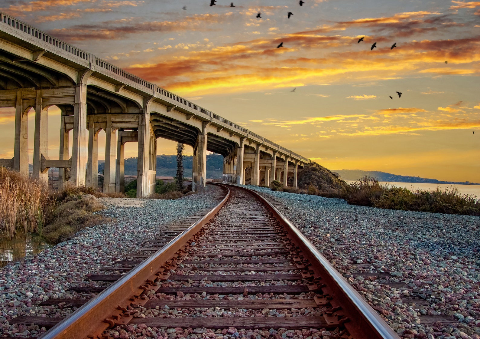 Railroad Tracks Photo Train Tracks Photography Train Tracks Etsy