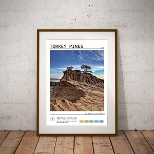 Póster de Torrey Pines, póster de San Diego, decoración de Torrey Pines, póster de viaje, foto de Torrey Pines, viajes a California, descarga instantánea