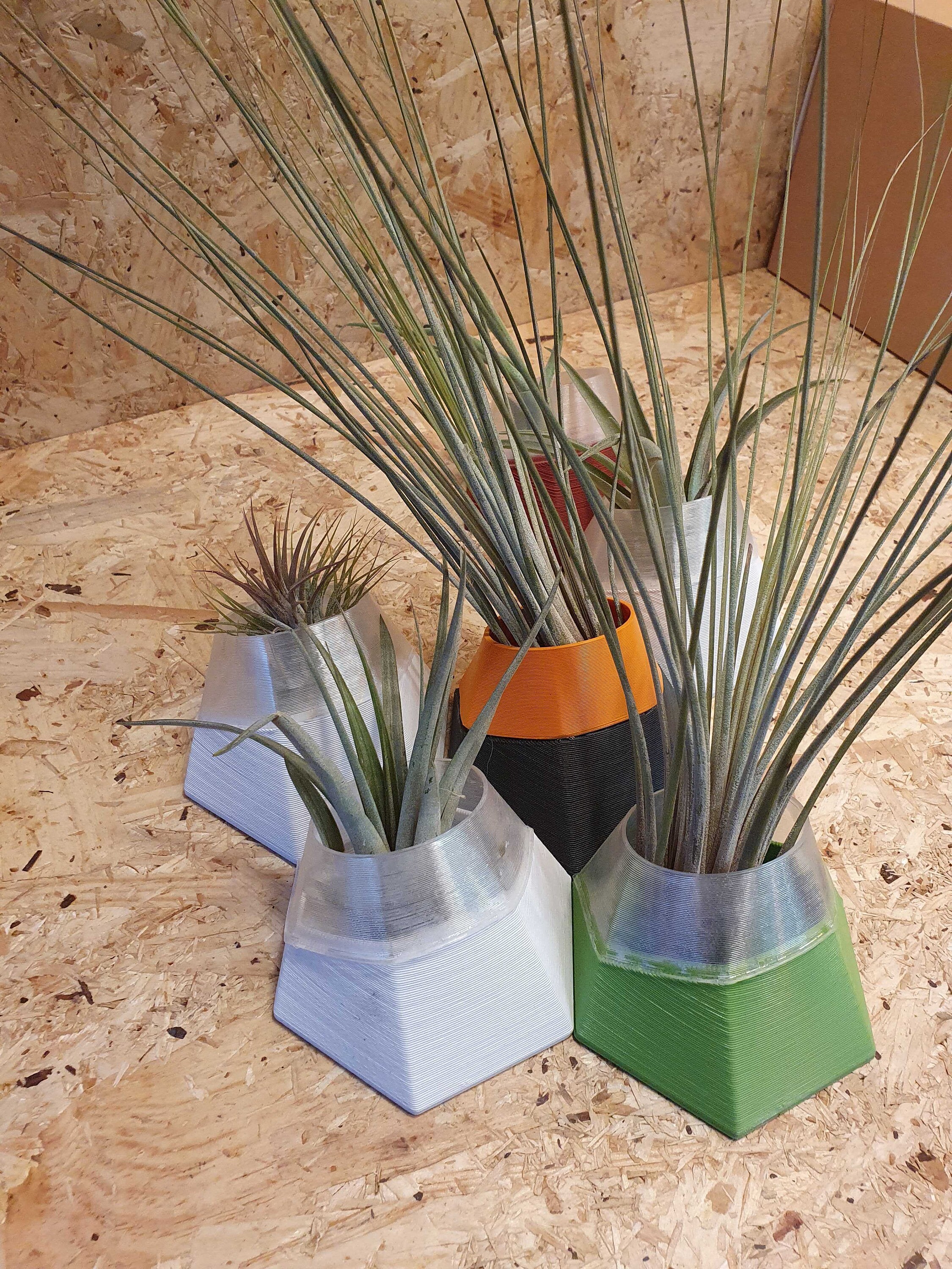 hex wall planter Etsy