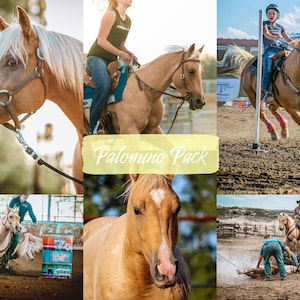 Palomino Horse Pack