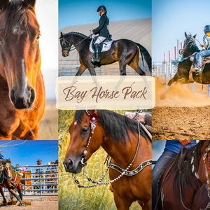 Bay Lightroom Preset Pack