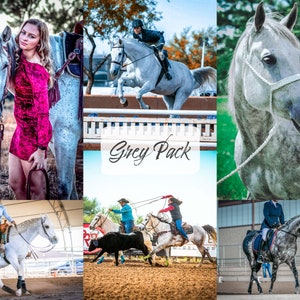 Grey Horse Pack