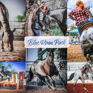 Blue Roan Pack Presets