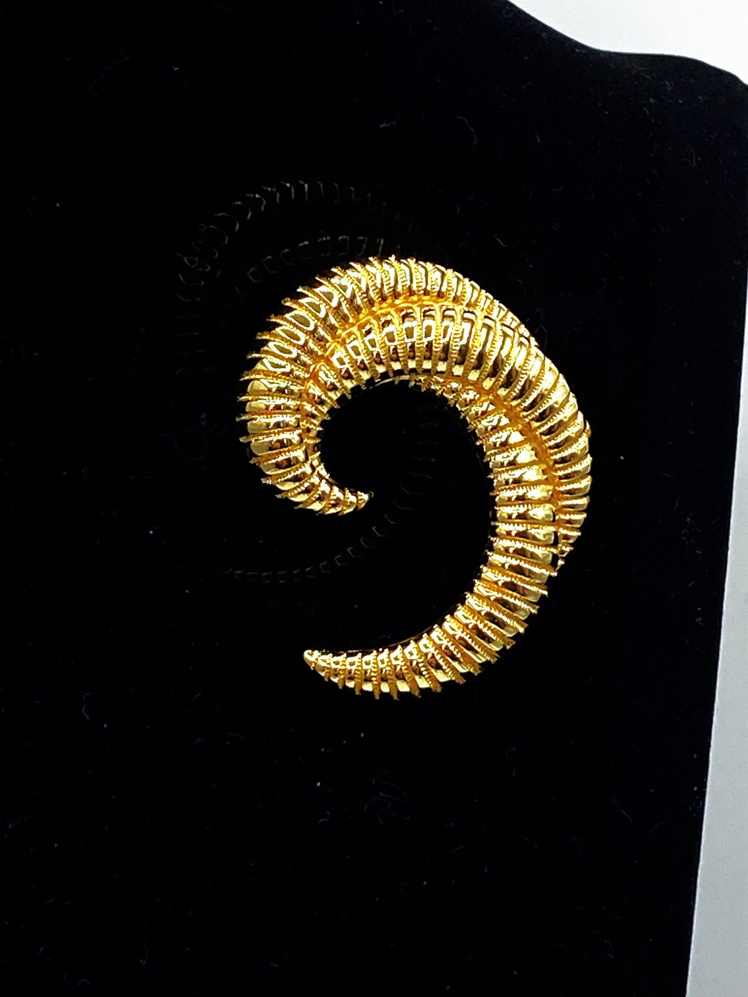 Vintage Brooch, Large Brooch, Nautilus Pin, 80s Brooch, Vintage Gold