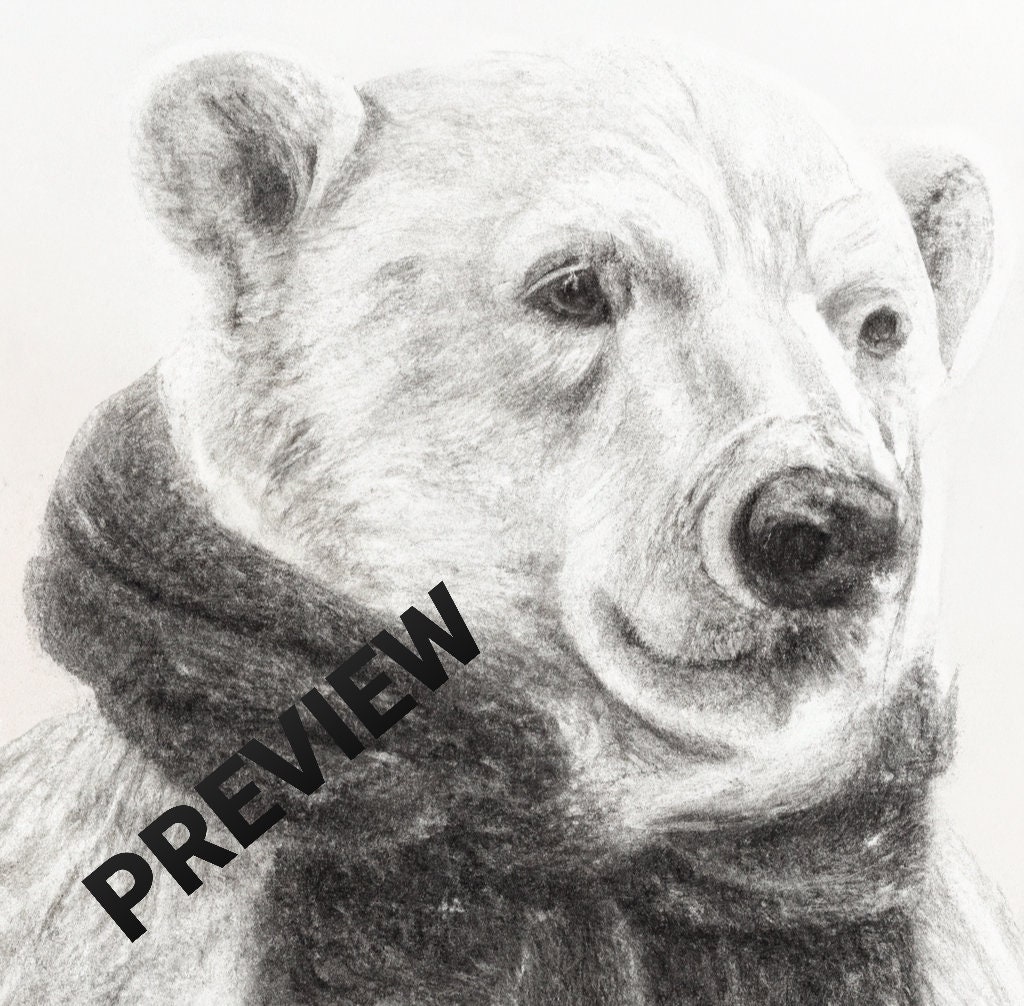 Realistic Polar Bear Drawing