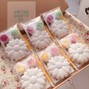 May include: A set of six paint-your-own daisy flower kits. Each kit includes a white plaster daisy, a small paint pot, a paintbrush, and a QR code. The paint pots are in various colors, including pink, green, yellow, and blue.