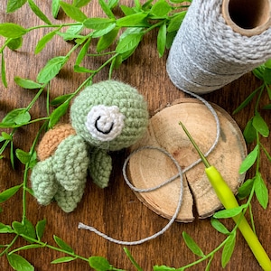 Crochet Digital Baby Turtle Pattern