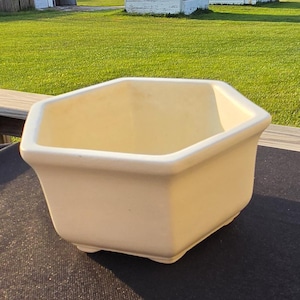 May include: A cream-colored ceramic planter with a hexagonal shape and a smooth, matte finish. The planter features a wide, open top, slightly flared sides, and a flat base with small, subtle feet at each corner, providing a stable foundation.
