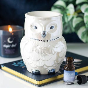 Brûleur à huile et chauffe-cire irisés en forme de hibou