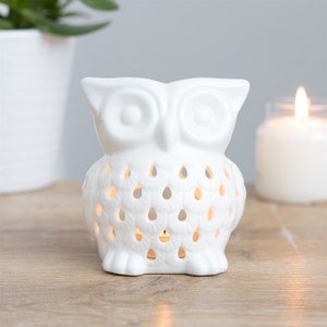 Brûleur à mazout White Owl