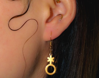 Gouden niet-binaire oorbellen, roestvrijstalen Enby Pride-oorbellen | Sieraden met transgendersymbool, accessoires voor homo's en biseksuelen