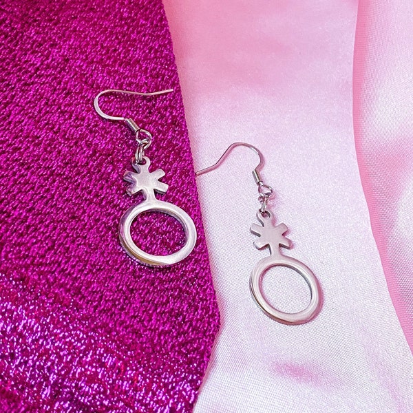 Non binary symbol stainless steel charm earrings | Silver colour Enby pride earrings