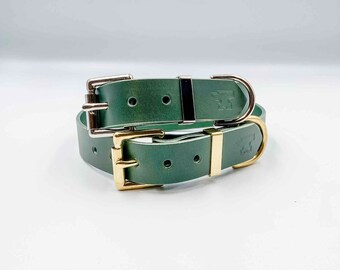 Custom Leather Dog Collar with solid brass hardware - no nameplate