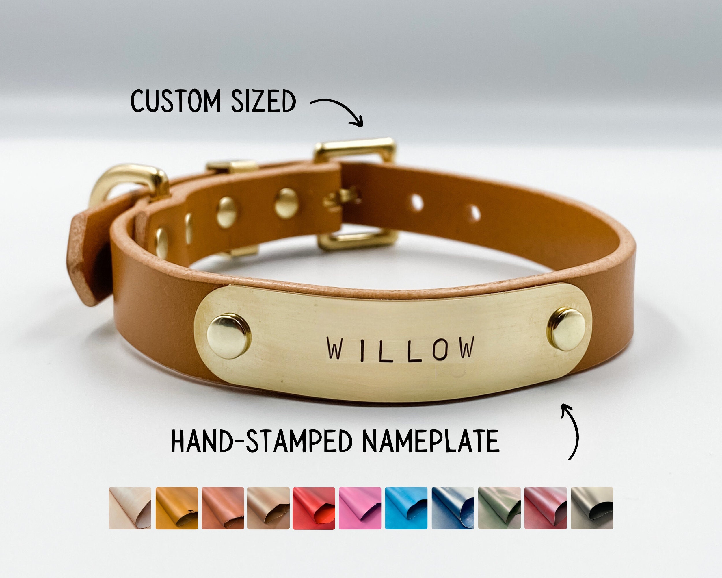 Leather dog collar with gold nameplate hotsell
