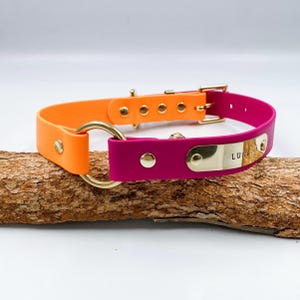 May include: A pink and orange dog collar with a gold buckle and a gold nameplate that says "LUNA".