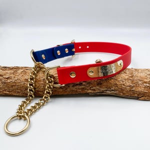 Martingale Hundehalsband - personalisierbares Namensschild