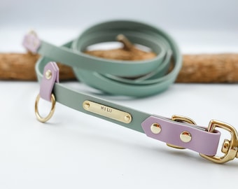 Custom Handsfree Dog Lead | Waterproof BioThane® Training Leash with Optional Nameplate | Personalized Dog Lead with Nameplate
