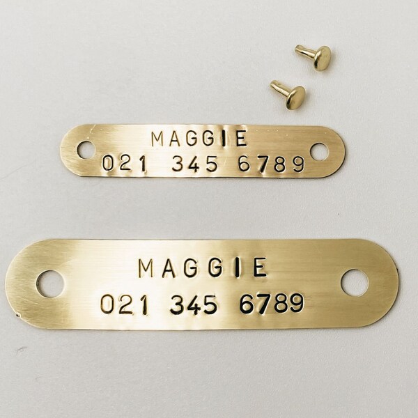 Rivets Dog Collar Etsy