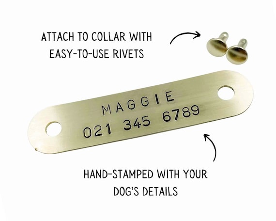 Step-by-Step Guide to Securely Attaching a Riveted Dog Tag for ...