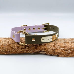 Custom BioThane Dog Collar: Two-Tone O-Ring with Personalized Nameplate