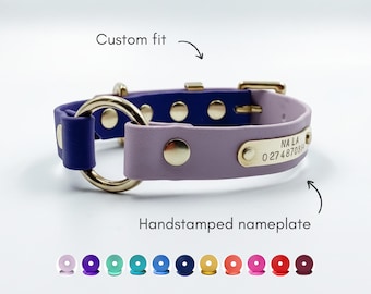 Puede incluir: Un collar para mascota de dos tonos, morado y lavanda, con herrajes metálicos dorados, una anilla en D grande y una placa grabada a mano con el texto NALA y un número de teléfono. Las etiquetas de texto indican el ajuste personalizado.
