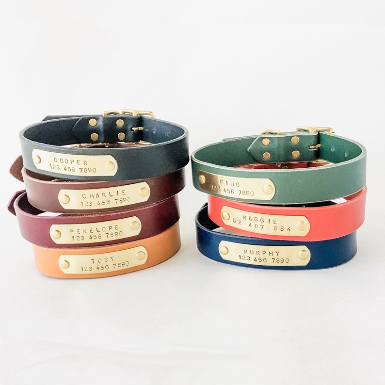 Leather Dog Collar with hand-stamped nameplate and solid brass image 0