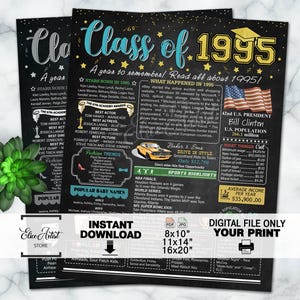 1995 Class Reunion Chalkboard Poster, 30th Class Reunion, 1995 Facts for 30th Class Reunion, High School Reunion Decoration, INSTANT DOWNLOA