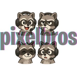 High Quality Streamer Raccoon PNGTuber Pack — 4 Expressions | Ready to Use High Quality