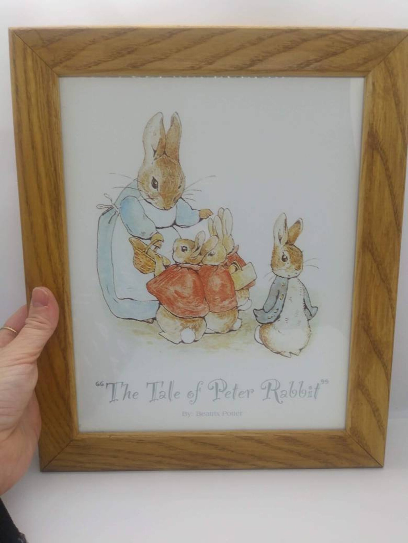 The Tale of Peter Rabbit Wall Hanging. This Wall Hanging is of Etsy UK