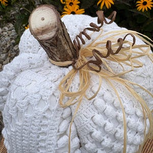 May include: A white fabric pumpkin featuring a textured crochet overlay with bobble stitches. The pumpkin is topped with a natural wooden branch stem, brown wire tendrils, and a decorative bow made of light tan raffia ribbon strands.