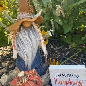 Gnomo granjero de calabazas Gnomo espantapájaros Gnomo hecho a mano ¡Hola a todos! Gnomo de otoño + cartel + calabaza