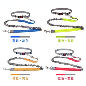 DUWES 2.5cm Running Sports Multifunctional Dog Leash Elastic Traction Rope F115