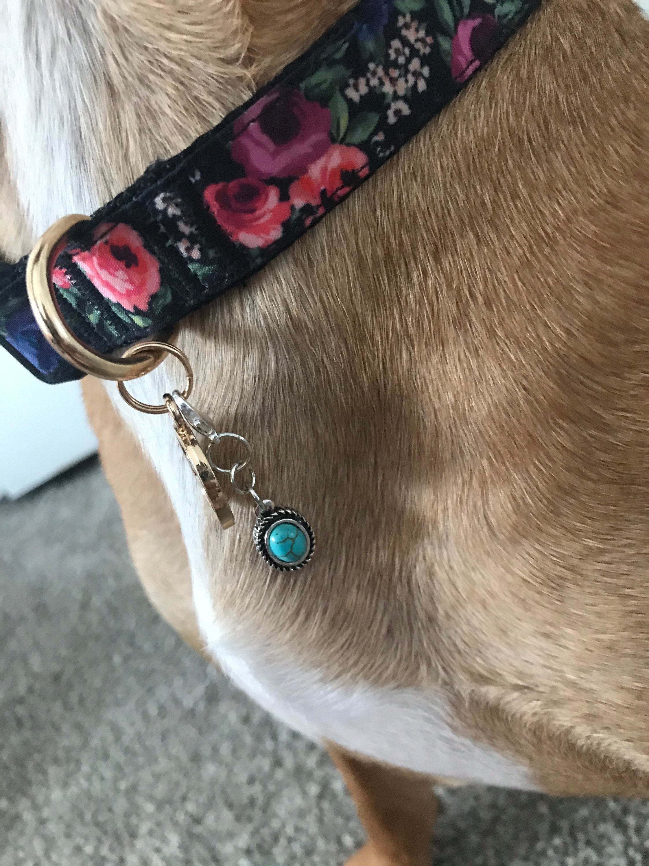 Dog Collar Charms Etsy