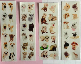 pinterest dog | cat | bunny | ferret png sticker sheet