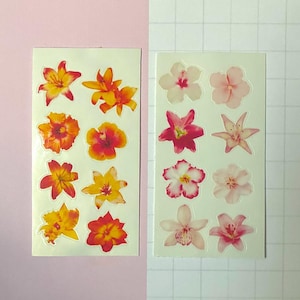 May include: Two rectangular sticker sheets featuring floral designs. The left sheet displays eight vibrant orange, yellow, and red tropical flowers. The right sheet features eight delicate light pink, white, and magenta floral illustrations.