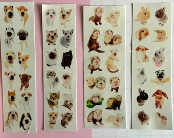 pinterest dog | cat | bunny | ferret png sticker sheet