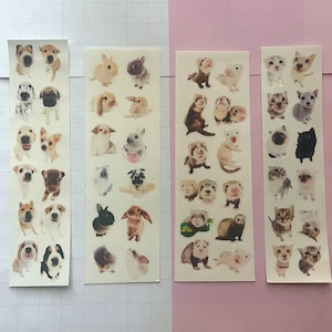 pinterest dog | cat | bunny | ferret png sticker sheet