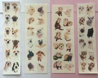 pinterest dog | cat | bunny | ferret png sticker sheet