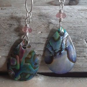 Abalone  & SS Dangle Earrings