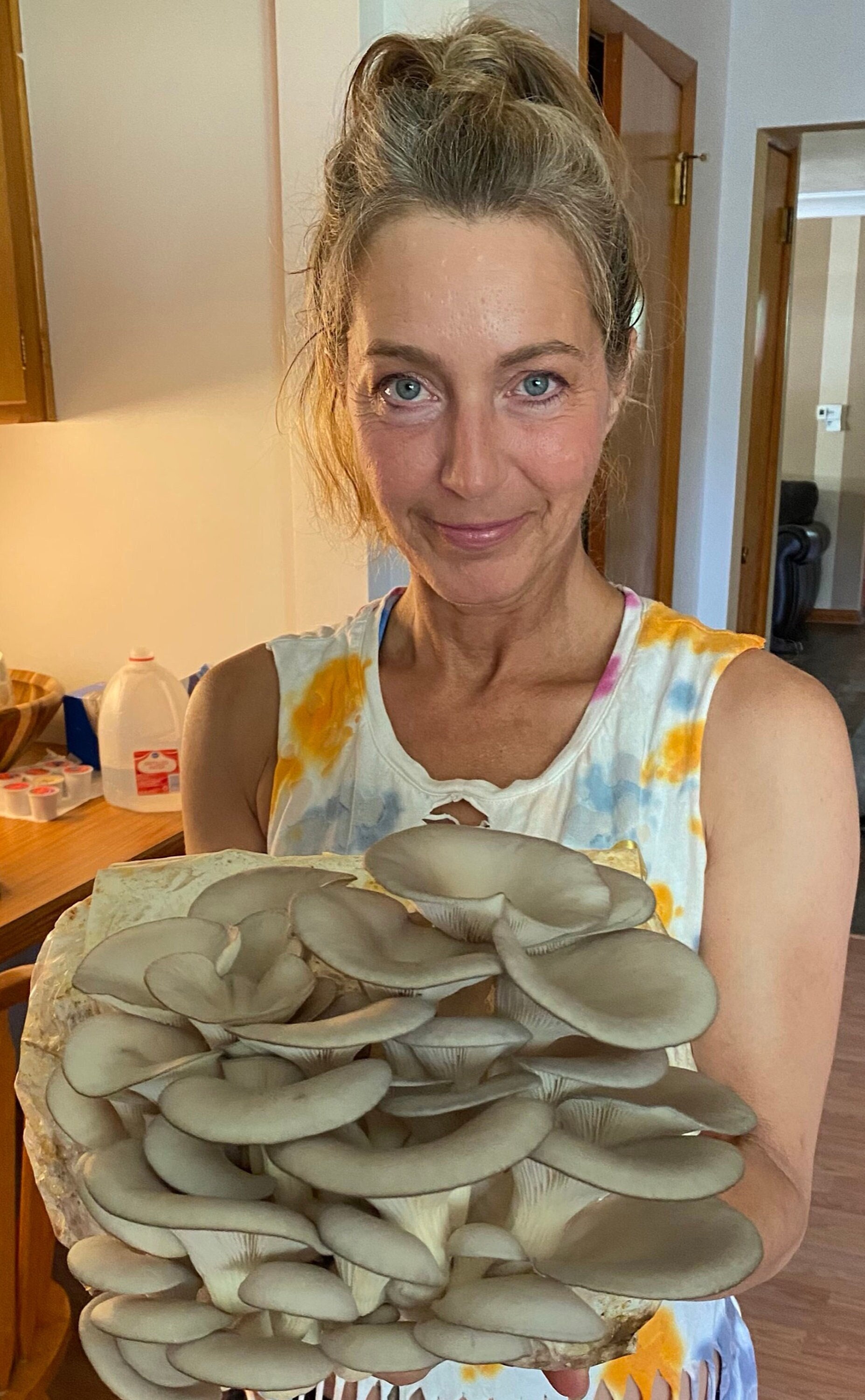 Giant Blue Oyster Mushroom Kit