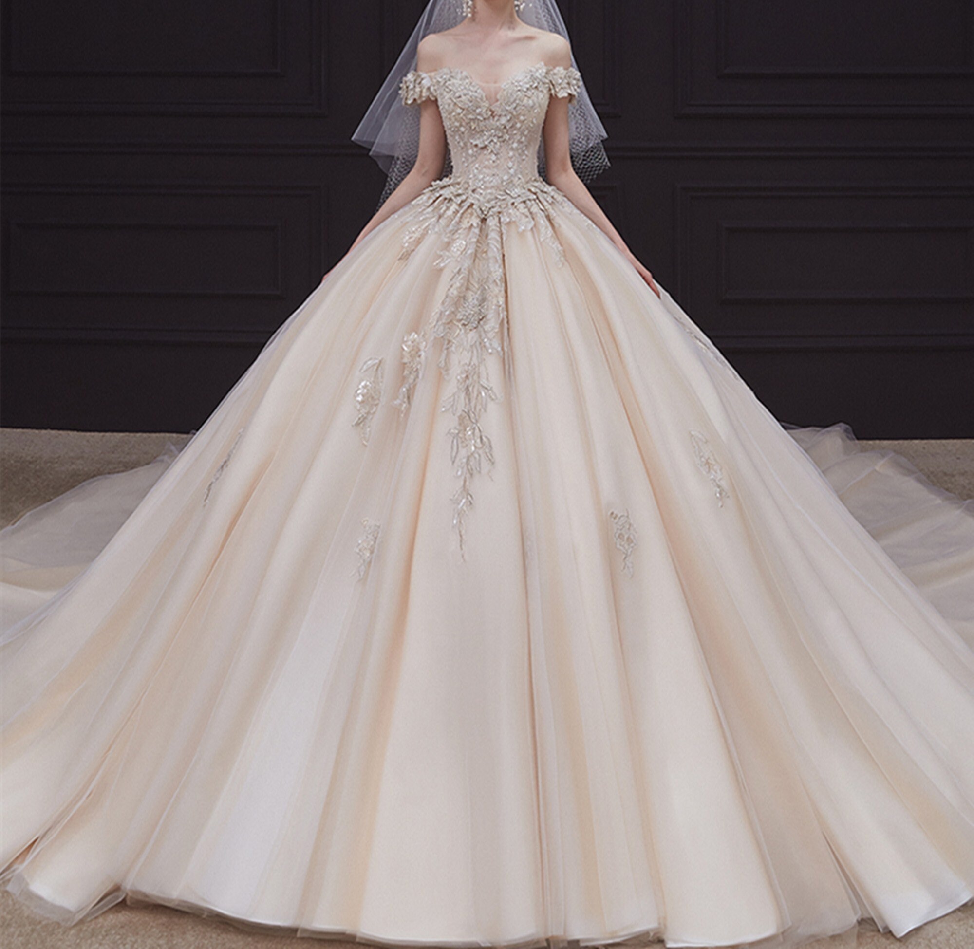 coast lucinda tulle dress