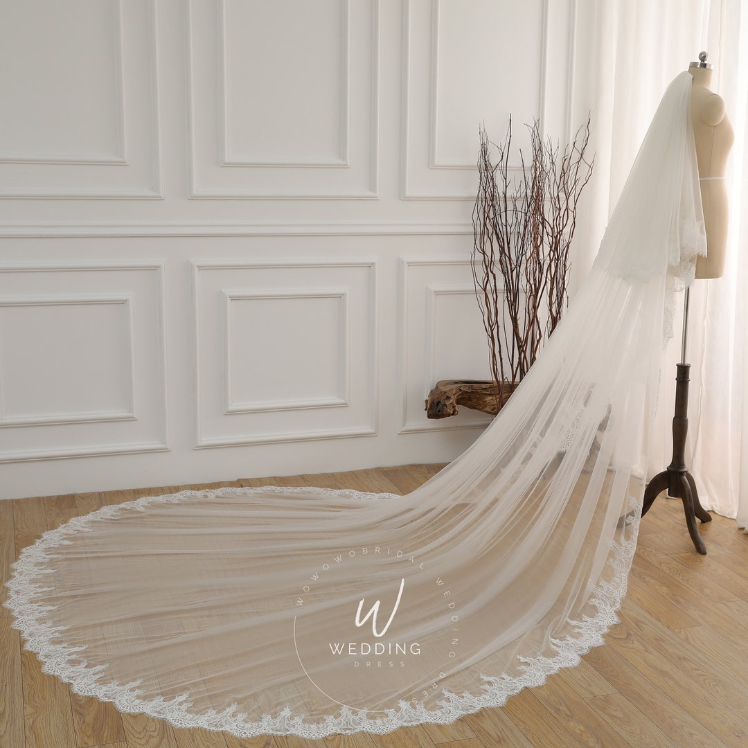 Eyelash Lace Veil, Floral Veil, Lace Edge Veil, Double Tier Veil