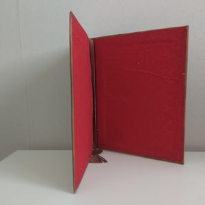 Op de afbeelding: Een bruin lederen gebonden dagboek met een rode fluwelen binnenkant. Het dagboek is open en staat rechtop op een wit oppervlak.