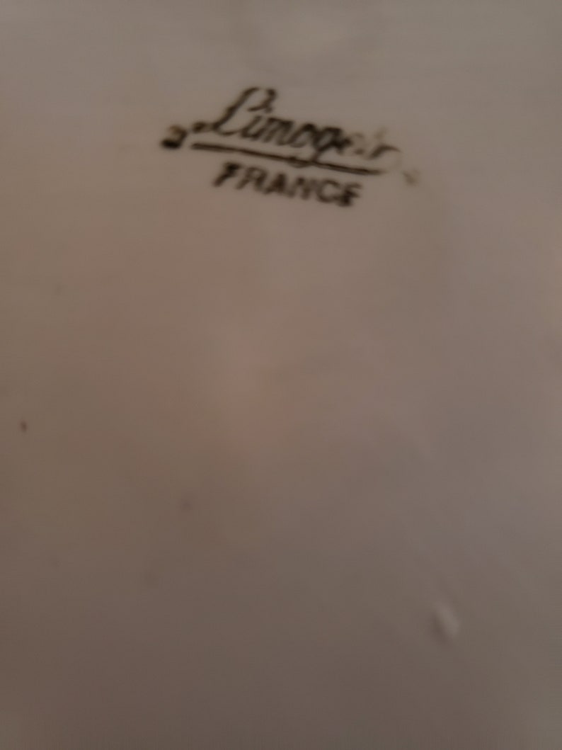 Limoges France Porcelain Tray