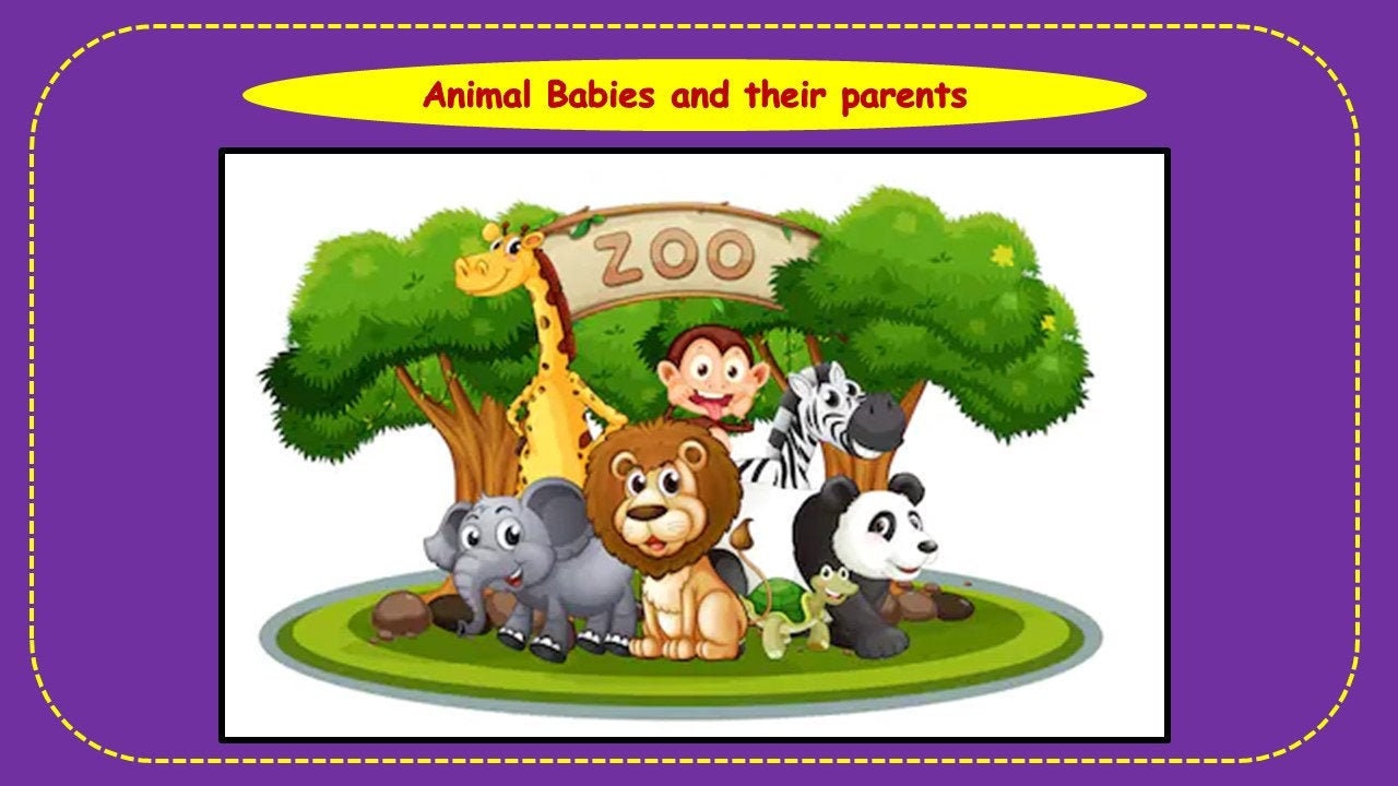 BABY ANIMALS FLASHCARDS Zoo Animal Jungle Animal Safari - Etsy Ireland BABY ANIMALS FLASHCARDS Zoo Animal Jungle Animal Safari - Etsy Ireland