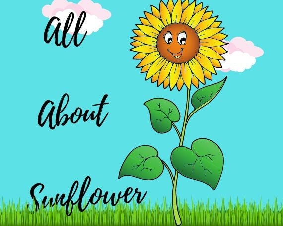 Sunflower Unit Study Anatomy Life Cycle 3 Part-cards - Etsy