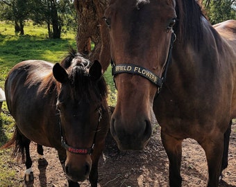 Black Basic embroidered horse halter / equestrian tack / embroidery / personalized pony name / personal halfter / pferdehalfter