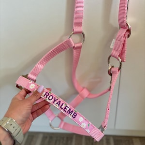 Custom Embroidered Pink Horse Halter: Personalized Equestrian Tack With Name