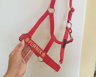 Personalized Red Horse Halter: Embroidered Equestrian Tack With Name