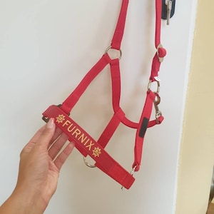 May include: Red horse halter with a gold embroidered name "FURNIX" and a gold steering wheel design.